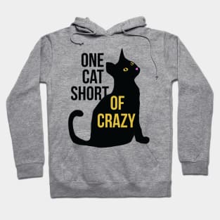 One cat short of CRAZY cat lady Hoodie